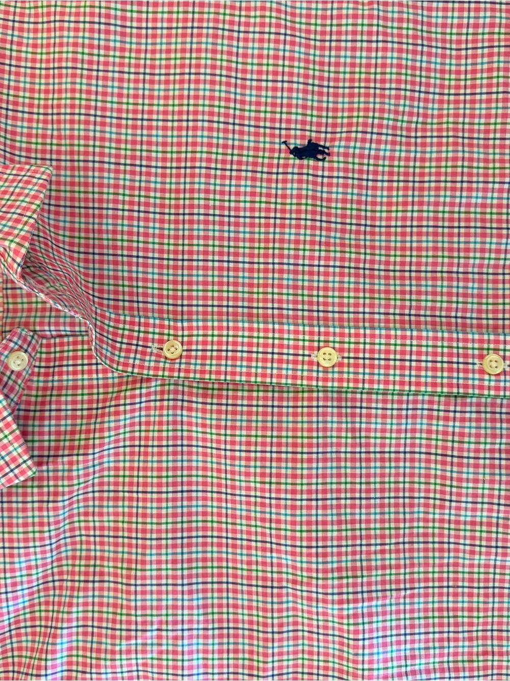 Polo by Ralph Lauren Pink & Green Check Button-Down Shirt
